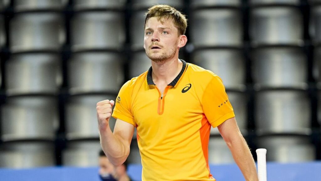 Goffin Sinner ATP 250 Montpellier