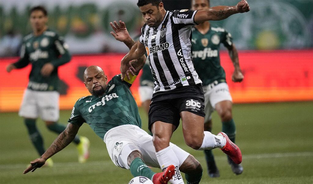 Palmeiras Mineiro