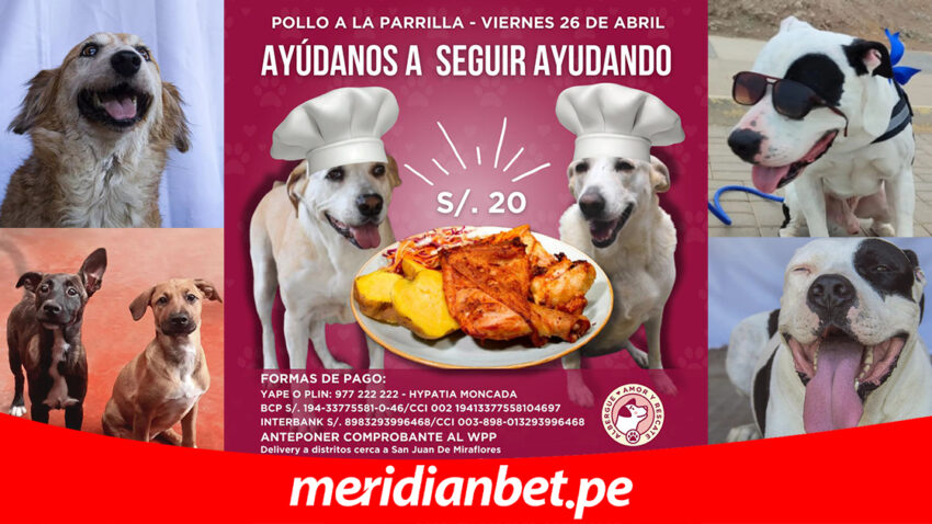 MERIDIANBET TE INVITA A LA ACTIVIDAD DE ‘AMOR Y RESCATE’