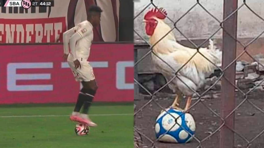 UNIVERSITARIO: LOS MEJORES MEMES DE SEGUNDO PORTOCARRERO